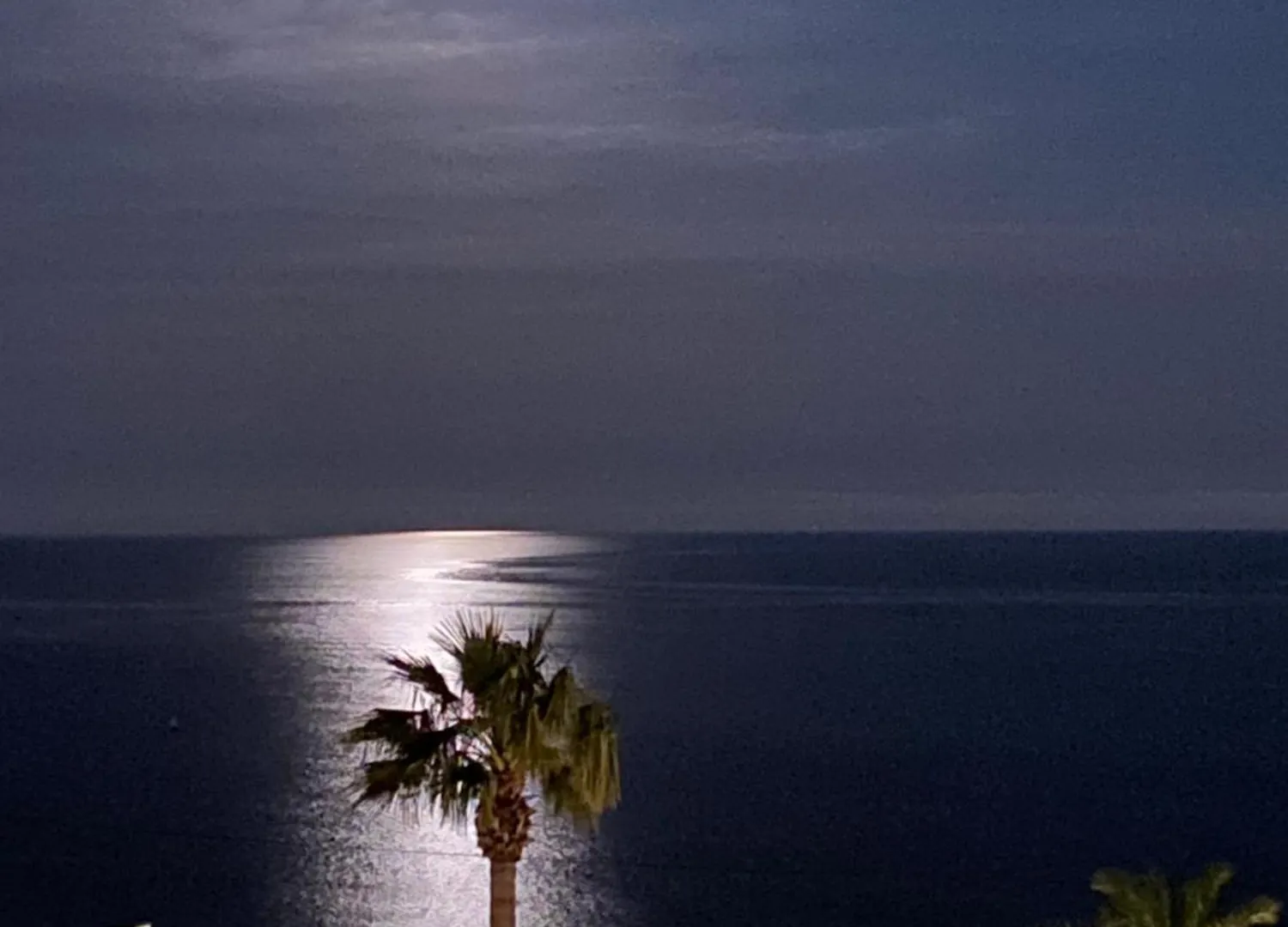 Bord De Mer, Terrasse, Tout A Pieds Cannes 0*,  Francie